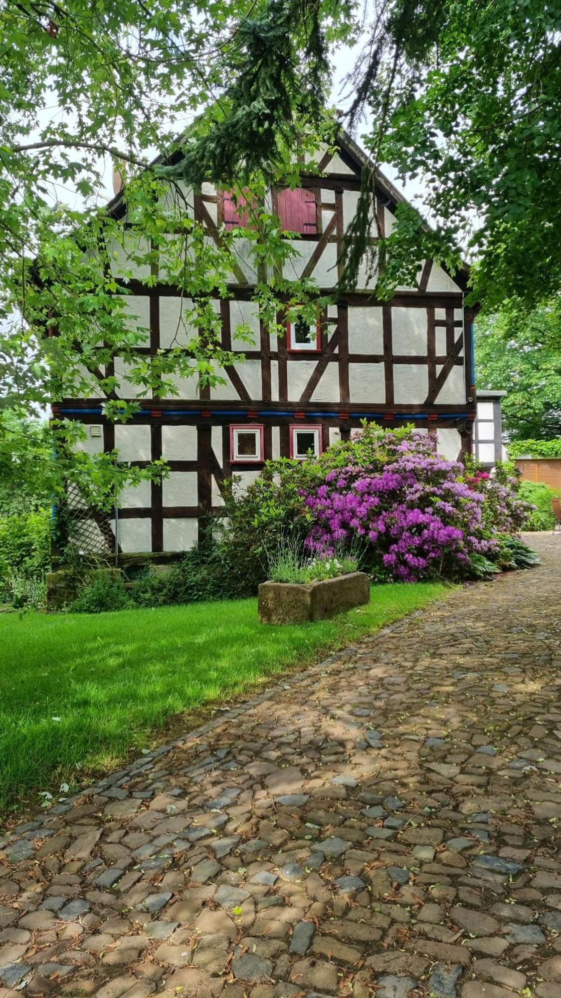 Villa Wolfsmühle Neustadt  Exterior foto